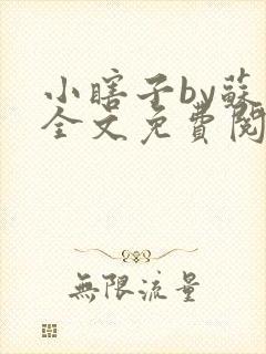 小瞎子by苏软全文免费阅读