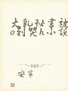 大乳秘书被cao到哭h小说