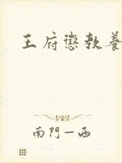 王府惩教养日常