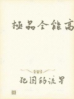 极品全能高手