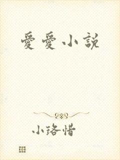 爱爱小说