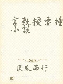 言教授要撞坏了小说