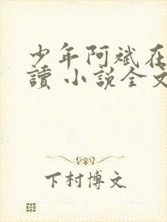 少年阿斌在线阅读 小说全文免费