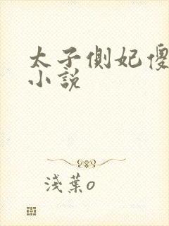 太子侧妃傻乎乎小说