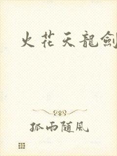 火花天龙剑封面