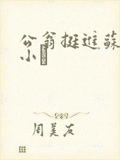 公翁挺进苏玥的小泬