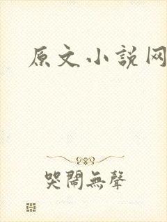 原文小说网