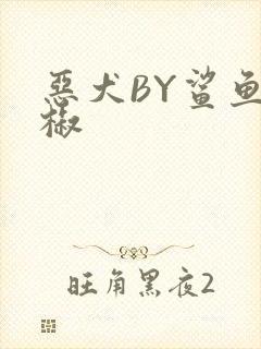 恶犬BY鲨鱼辣椒