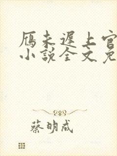 雁未迟上官穿越小说全文免费阅读