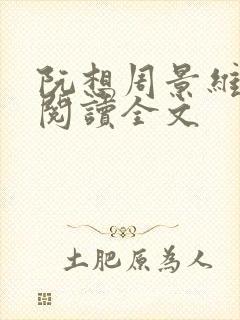 阮想周景维免费阅读全文