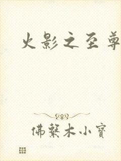 火影之至尊邪帝