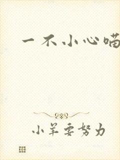 一不小心喵上你