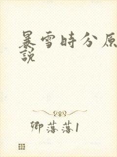 暴雪时分原著小说