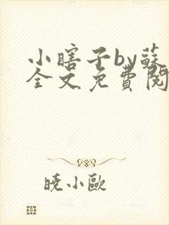 小瞎子by苏软全文免费阅读