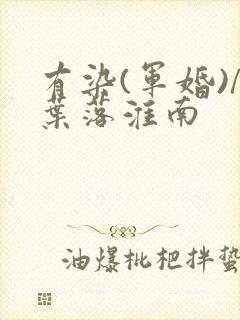 有染(军婚)/叶落淮南