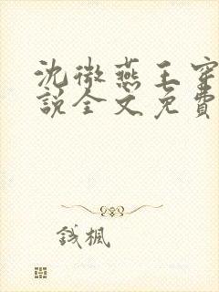 沈微燕王穿越小说全文免费阅读