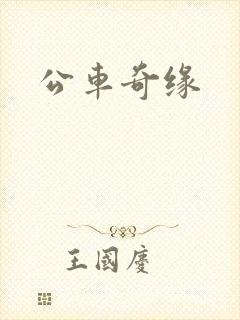 公车奇缘