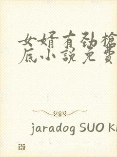 女婿有劲枪枪到底小说免费阅读