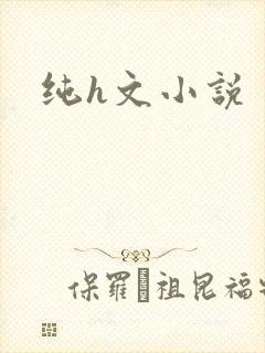 纯h文小说