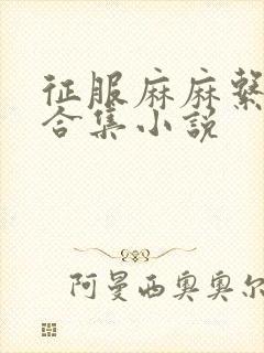 征服麻麻系列大合集小说