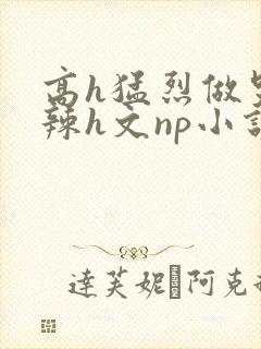 高h猛烈做哭高辣h文np小说