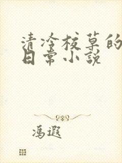 清冷校草的堕落日常小说