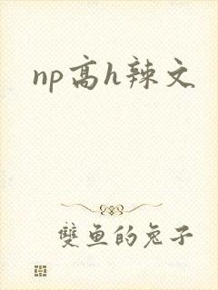 np高h辣文