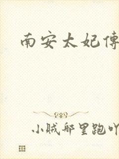 南安太妃传