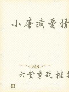 小唐璜爱情历史