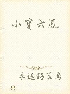 小宝六凤