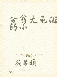 公翁大龟挺进我的小