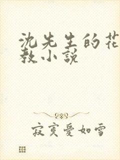 沈先生的花式调教小说