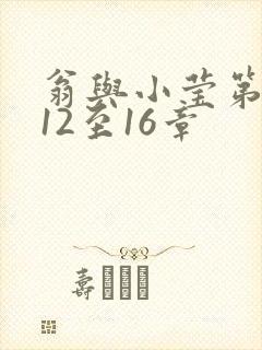 翁与小莹第十部12至16章