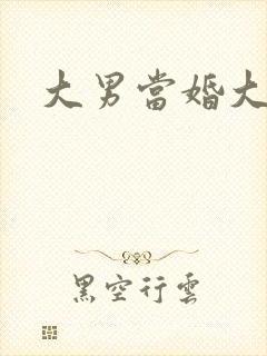 大男当婚大结局