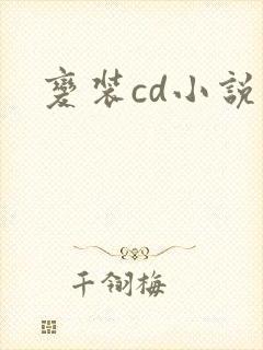 变装cd小说