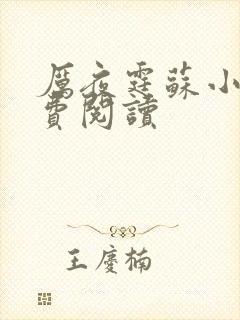 厉夜霆苏小汐免费阅读