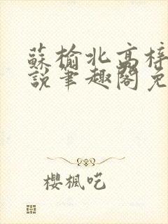 苏榆北高梓淇小说笔趣阁免费阅读