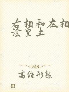 右相和左相一起淦皇上