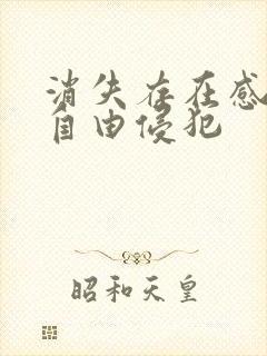 消失存在感消失自由侵犯