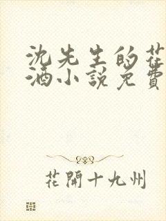 沈先生的花式调酒小说免费阅读