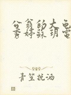 公翁的大龟挺进秀婷苏玥电影