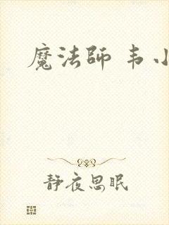 魔法师 韦小宝