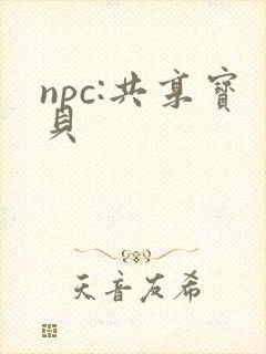 npc:共享宝贝