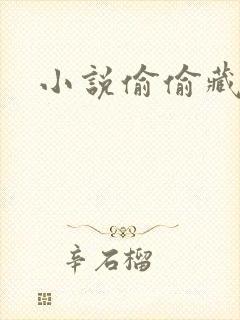 小说偷偷藏不住