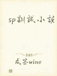 sp训诫小说