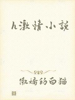 h激情小说