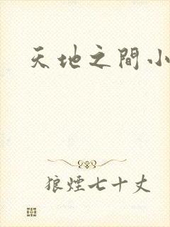 天地之间小说