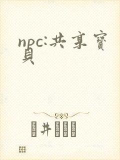 npc:共享宝贝