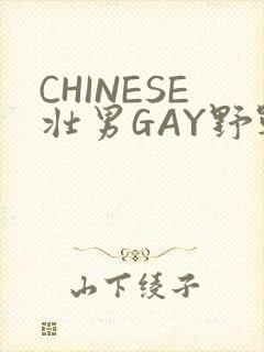 CHINESE壮男GAY野战强迫TUBE