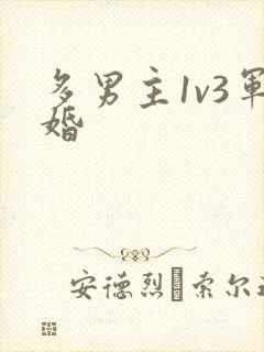 多男主1v3军婚